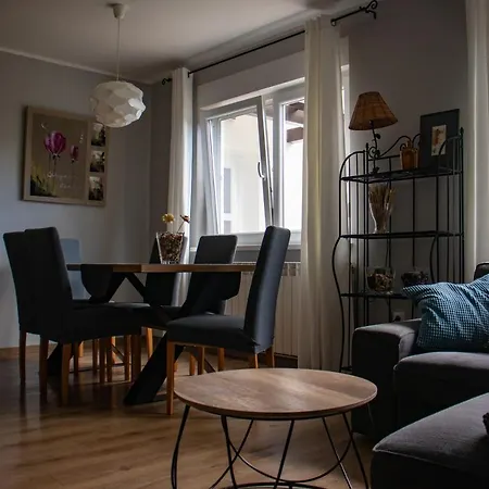 Modern And Elegant In A Quiet Part Of Appartement Pula