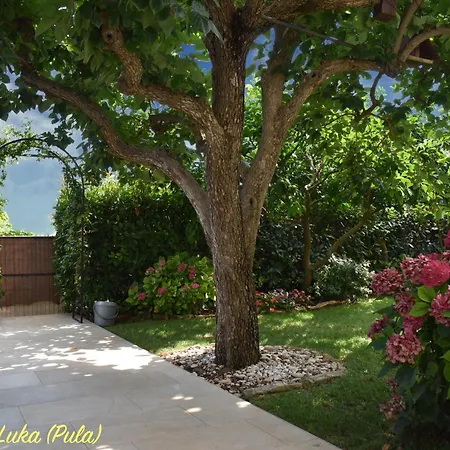 Apartmán Modern And Elegant In A Quiet Part Of